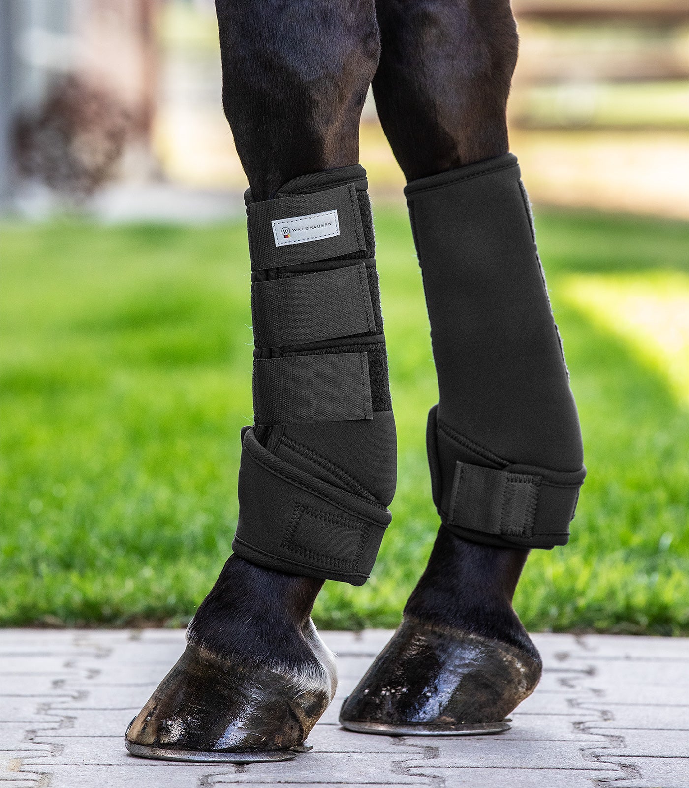 Fesselkopfgamaschen Protect, schwarz