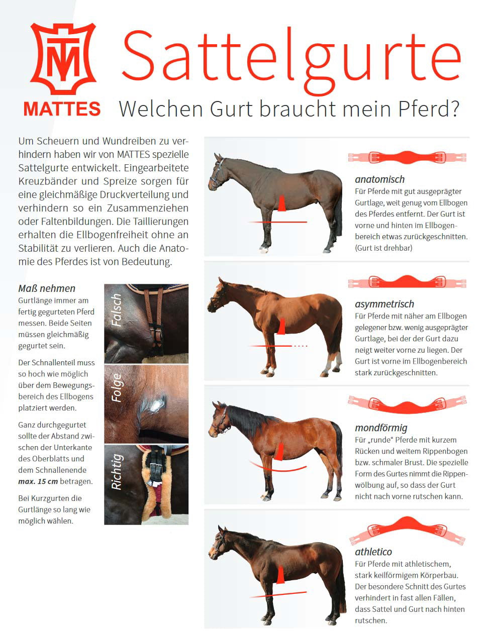 Lammfell Sattelgurt Athletico mit abnehmbarem Bezug, Schwarz Schwarz